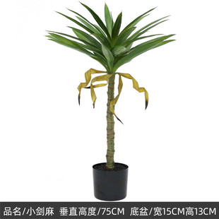 人造热带小物剑兰盆景大型仿真植物剑麻盆栽室内落地假绿植龙舌兰