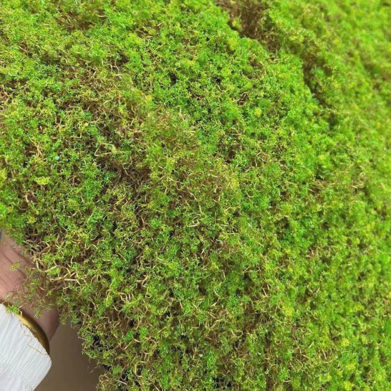 新款曲丝绿植苔藓橱窗微景观人工造景仿真婚庆户外假草皮坪地毯
