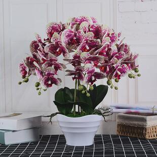 蝴蝶兰仿真花套装客厅摆设大盆兰花盆栽装饰假花摆件插花花艺