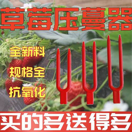 草莓叉子育苗压蔓器压苗叉藤蔓植物固定器塑料加长圆口叉生根定植