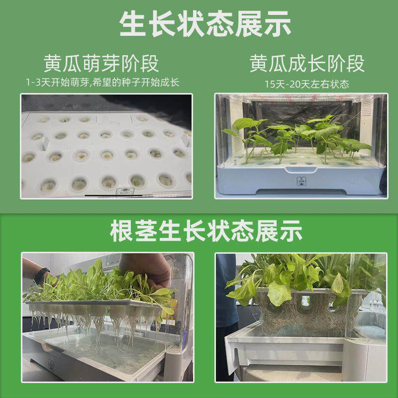 跨境家庭智能种植机室内蔬菜种植箱水耕智能盒子无土栽培种植种菜