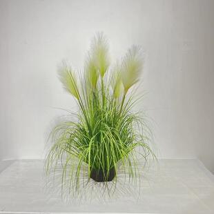 仿真狗尾巴草绿植盆景芦苇洋葱草8090cm室内家居装饰摆件植物盆栽