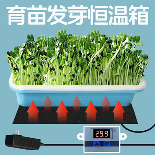 育苗恒温箱催芽箱培育种盒可调自动培养机牙厢神器小型种子发芽箱