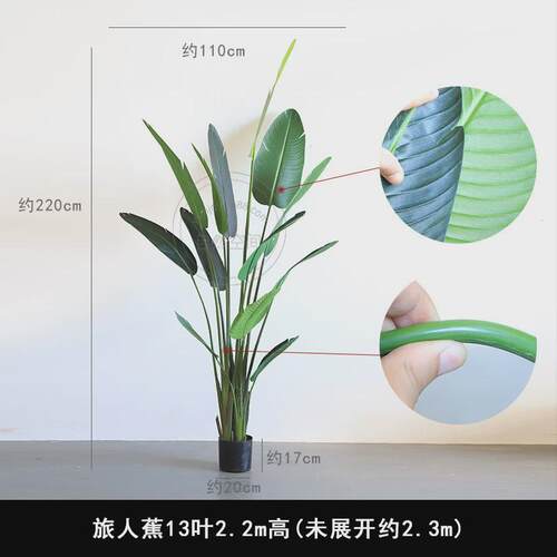 新款胶片叶旅人蕉升级款北欧INS风客厅落地网红绿植大型仿真植物