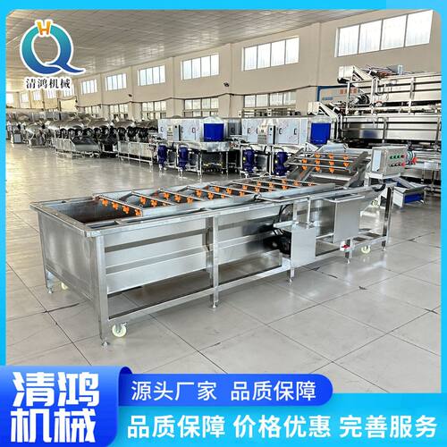 果蔬连续式清洗机自动樱桃杨梅清洗设备气泡草莓加工成套流水线