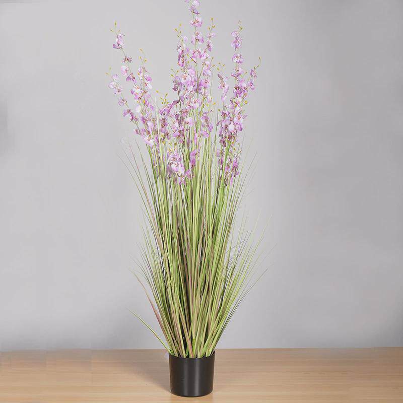 厂家家居装饰品跳舞兰洋葱草芦苇盆栽直供道具粉紫色跳舞兰洋葱草