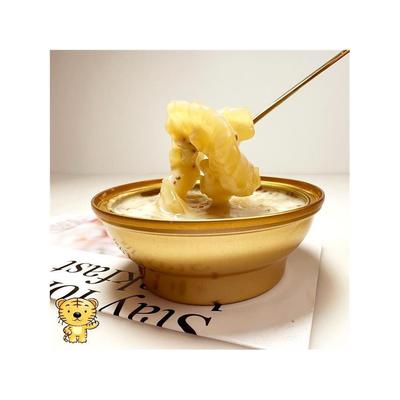 新货川小年生椰燕麦花胶粥速食代餐粥即食粥健康养颜轻食美味早餐