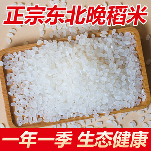 新日期东北大米50斤装一袋新米珍珠米便宜20斤粳米商用直供25kg