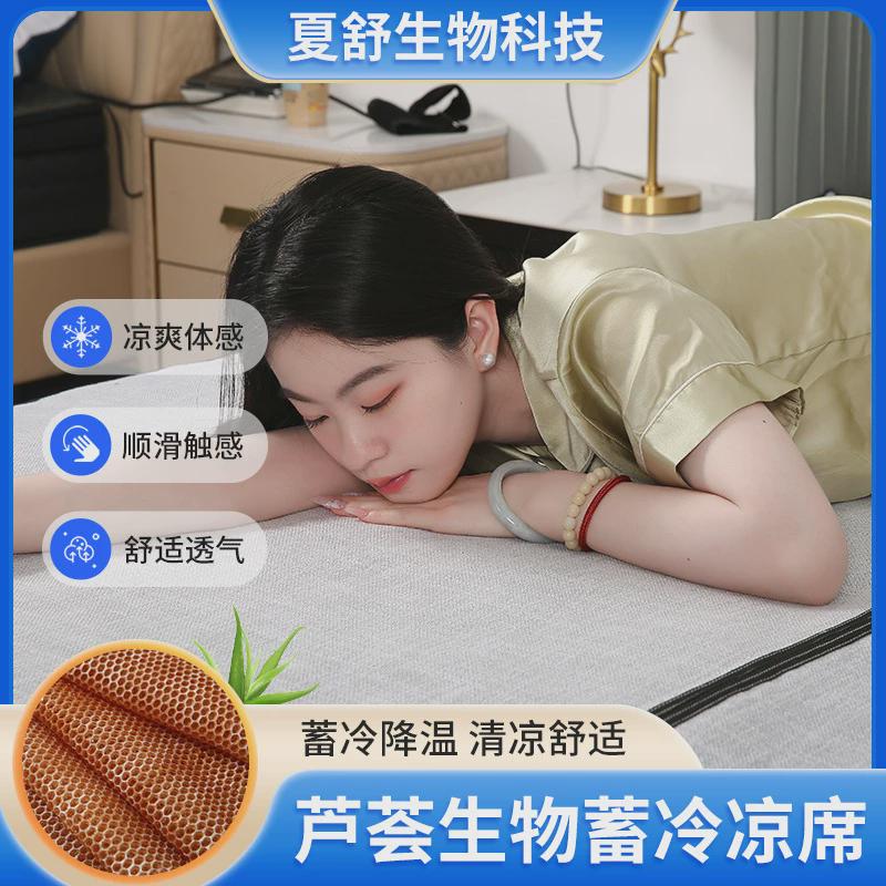 芦荟软晶体生物蓄冷夏季透气凉席打地铺芦荟睡垫可折叠家用床垫席