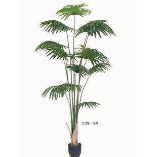 仿真蒲葵盆栽热带葵树造景室内物大型假植客厅落地摆放绿植盆景