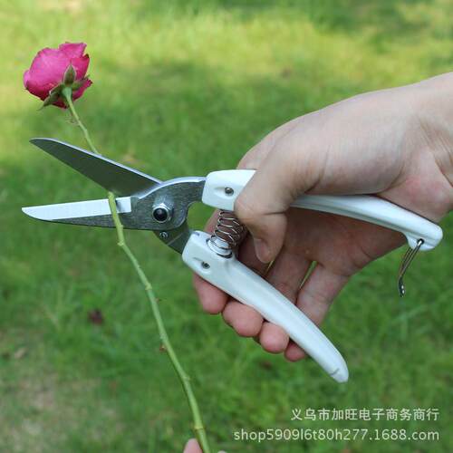 日本进口ars爱丽斯多用途花剪140l-dx花艺园艺修枝剪长嘴摘果剪子