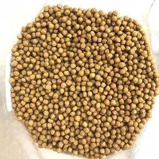 精大鳢#七星鱼#雷龙鱼#珍珠赤雷龙品月帆雷龙黑月鳢 冷水鱼