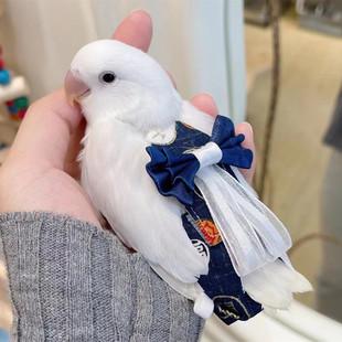 牡丹鹦鹉纸尿裤玄凤虎皮鸟用防水尿不湿粪便屎兜新年款飞行衣服绳