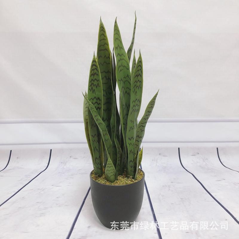 舌虎皮兰盆景人造绿植外母仿真黄边虎皮兰室内外装饰摆件仿真芦荟