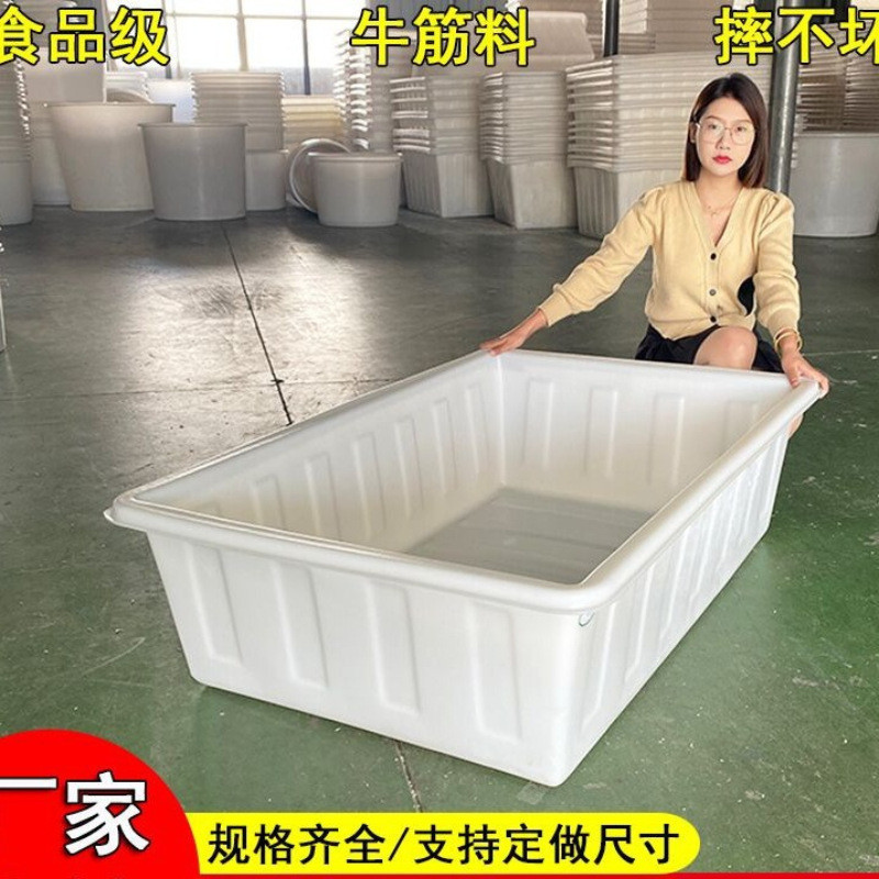 旭菲塑料水箱长方形加厚牛筋大号储水桶卖鱼浅盆养鱼周转箱水产养