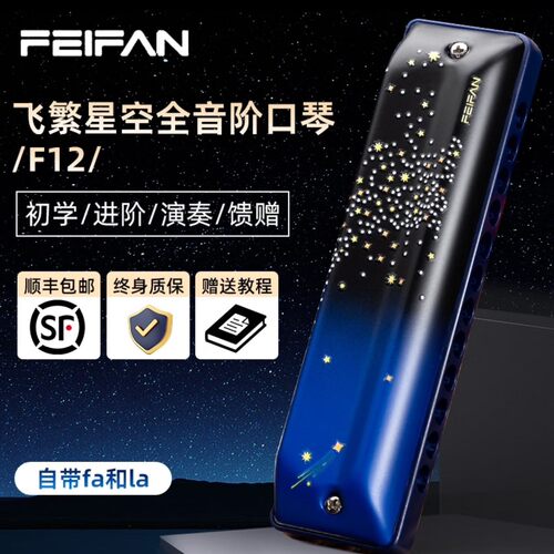 FEIFAN飞繁12孔布鲁斯口琴星空F12全音阶专业演奏初学者入门口琴