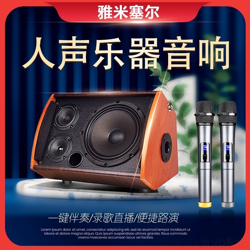 【爆款推荐】户外唱歌乐器音箱便捷充电蓝牙音响吉他弹唱内录声卡
