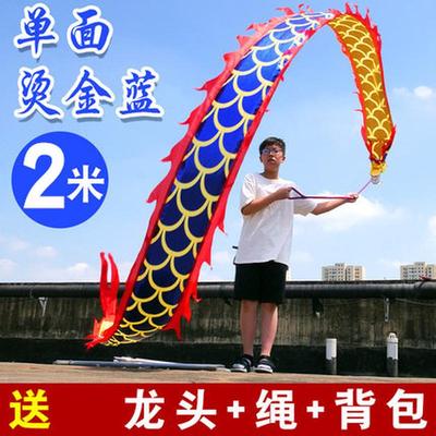 儿童舞龙彩带健身彩带龙甩龙广场舞校园新款中国龙龙头表演道具