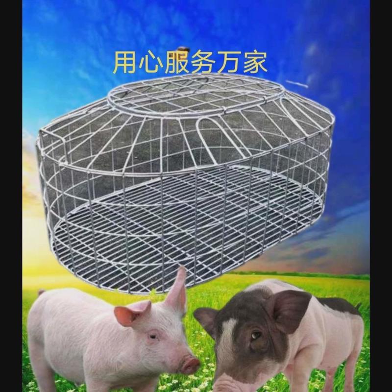 小猪笼厂家直销笼抓猪笼宠物笼卖猪笼加固笼子鸡笼鸭笼狗笼运输【