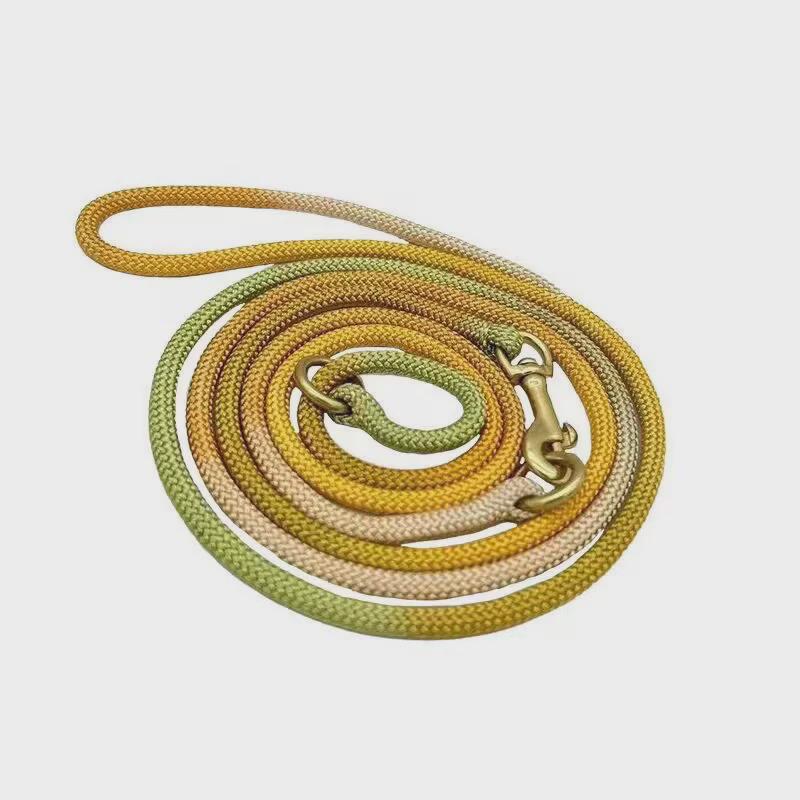 赛级宠物狗p绳专业训犬绳子随行绳脖圈p链遛狗牵引绳项圈比赛细