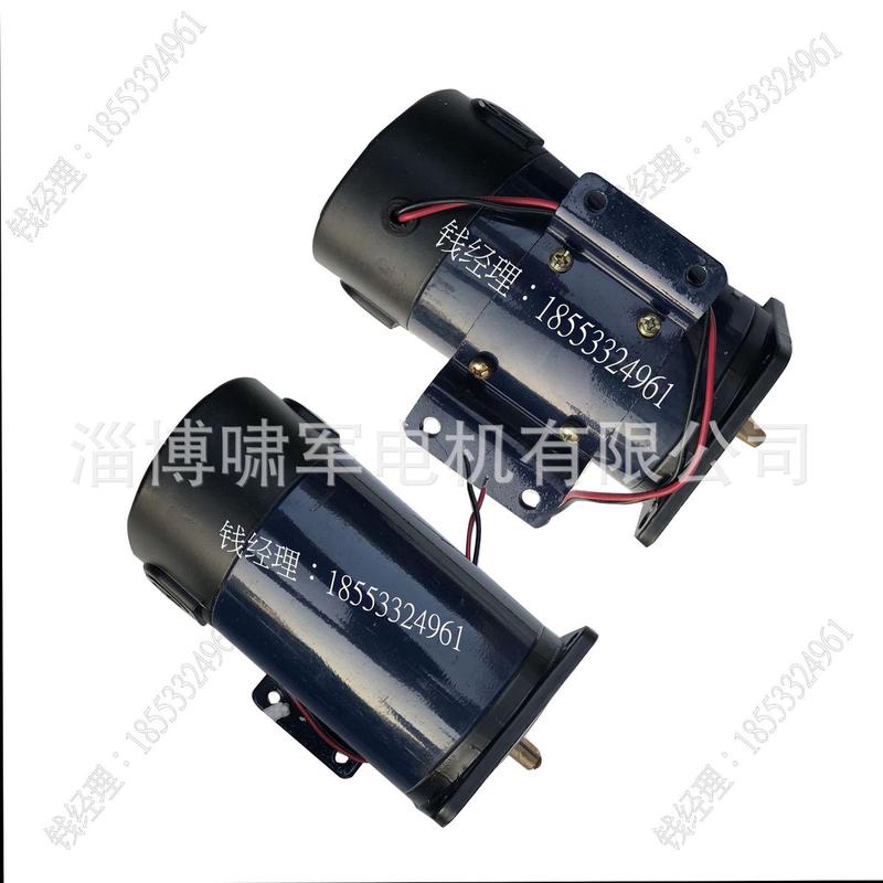 110zyt155永磁直流电机24v厂家马达700w3000转博山微电机直流