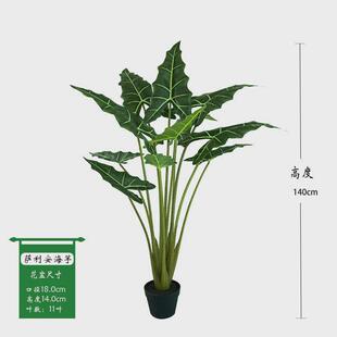 北欧仿真萨利安海芋绿植盆栽黑白犀牛大仙女海芋网红观景落地装饰