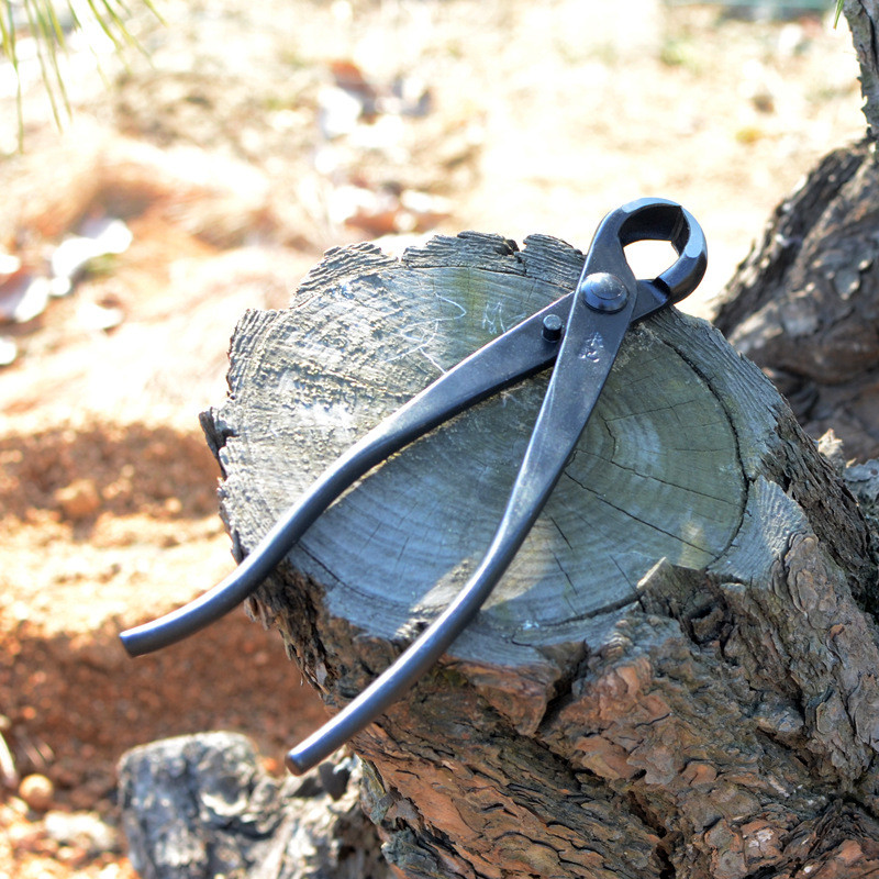 球节修剪球形剪树瘤树节剪钳朱记专业盆景工具制作养护盆栽工具