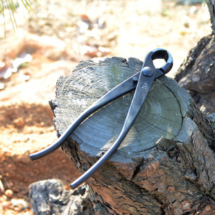球节剪球形剪树瘤树节修剪钳朱制作专业盆景工具记养护盆栽工具