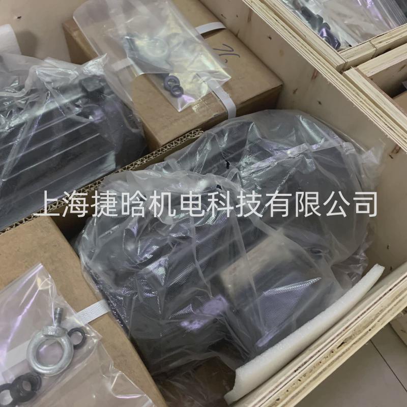 YYB132S-63KW-6P内轴直连式卧式油压马达LZJ液压电机