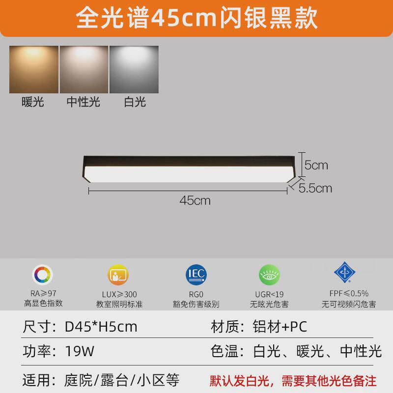 阳光房专用吸顶灯阳光棚户外阳台入户灯防雨走廊顶灯长条露台屋檐