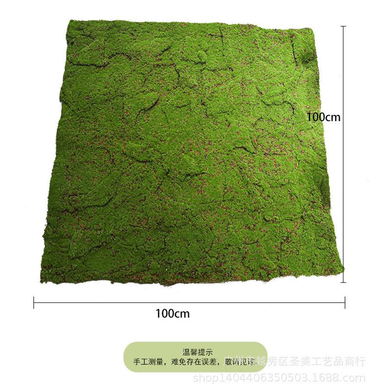 仿真青苔苔藓草皮仿真草坪背景墙面橱窗绿植装饰人造假青苔珍珠棉
