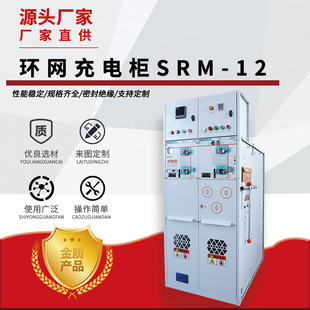 固体柜进高压开关柜成套配电箱充气柜并网柜户外出线环网柜10kv