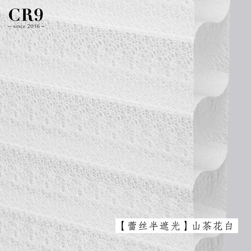 电动香格里拉帘卷帘窗帘柔纱帘智能百叶窗遥控中控遮光办公室