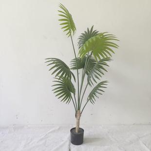 仿真植物软装加州假绿植盆栽摆件仿真装饰蒲葵扇葵棕榈树现货