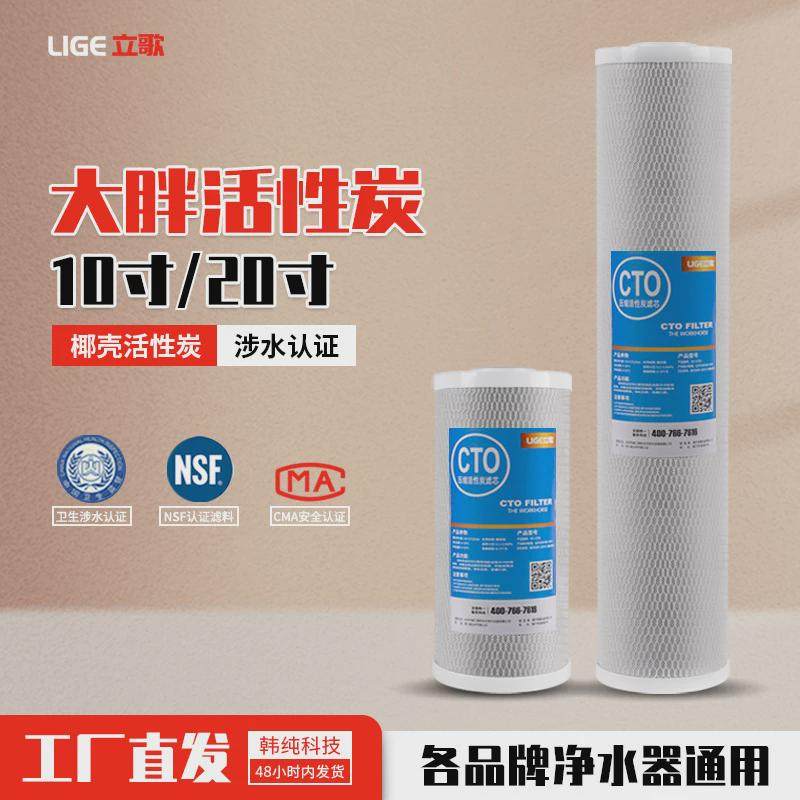 立歌10寸大胖压缩活性炭滤芯中央前置过滤器大胖滤瓶20寸大胖CTO