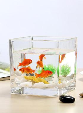 加厚透明水培玻璃方缸鱼缸桌面摆件简约花瓶水养绿萝铜钱方形花瓶