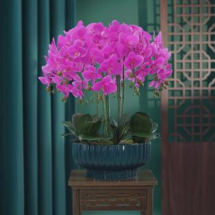 蝴蝶兰仿真花盆栽大花艺新中式pu手感兰花客厅盆景柜台酒店前台盆