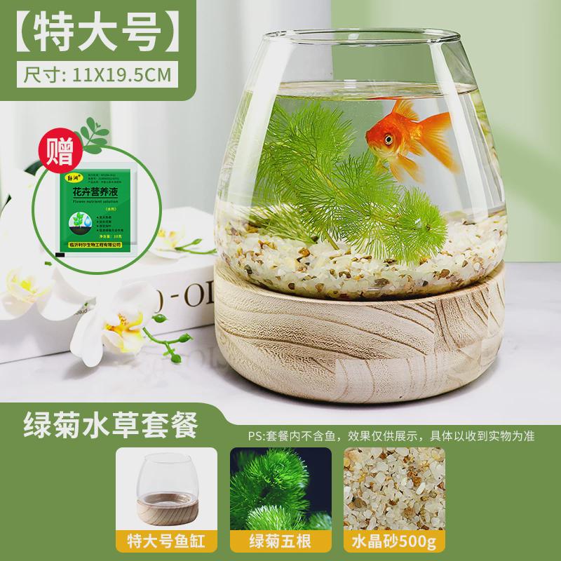 桌上小鱼缸办公室鱼缸透明玻璃乌龟缸客厅家用桌面金鱼缸小型迷你