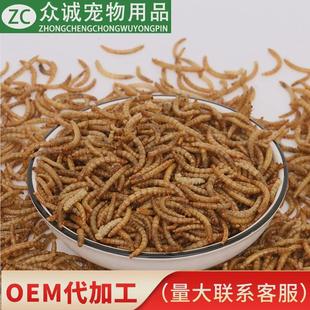 定制面包虫干黄粉虫大麦虫烘干面包虫厂家直销5kg