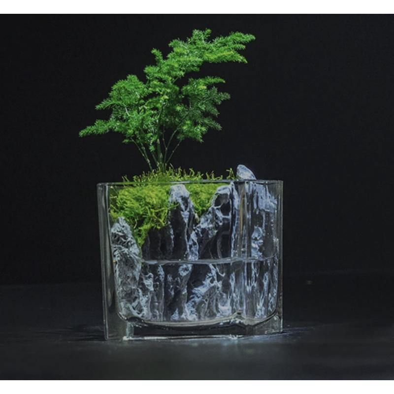 小叶赤楠生态微景观装饰摆件室内桌面植物盆栽水陆景盆景可养鱼