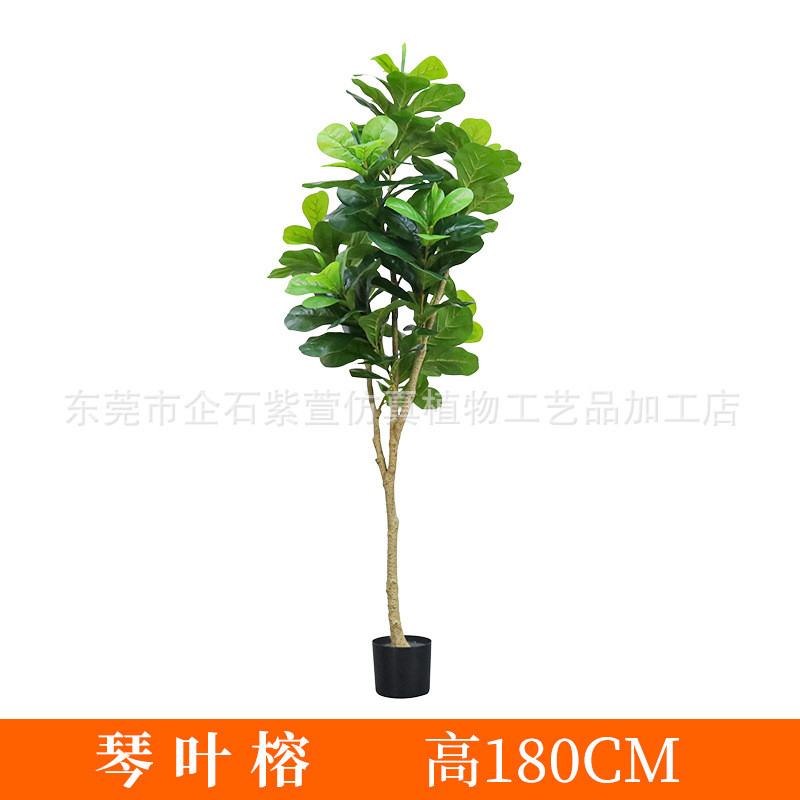 仿真植物琴叶榕盆栽大型落地室内家居装扮拍摄假盆景造型绿植盆栽