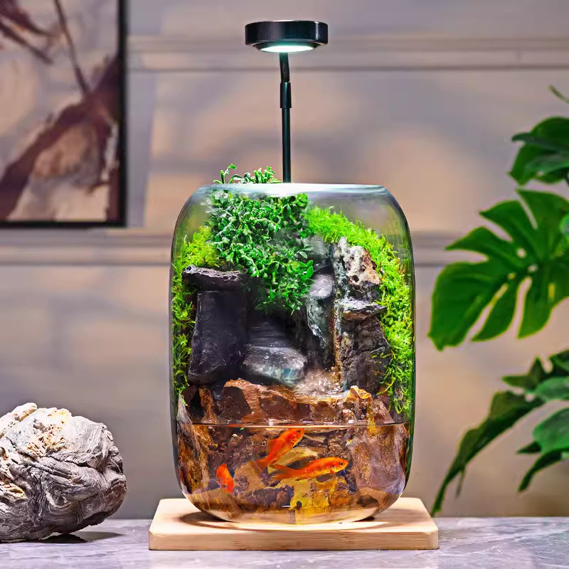 缸玻璃养鱼盆景办公室造景微景观生态瓶苔藓装饰摆件植物盆栽桌面