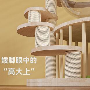 一体趣味实木猫爬架不占地猫抓板耐磨自嗨猫窝太空舱猫树小户型