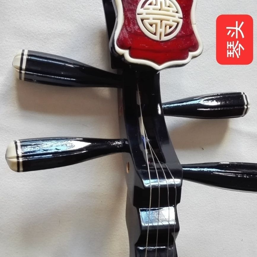 琵琶配件成人初级练手古典民族乐器琴高端黑色送儿童六件套