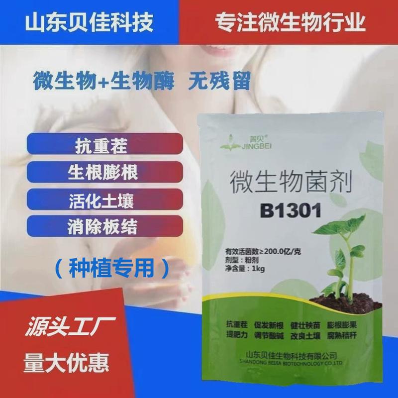 抗重茬冲施滴灌水溶肥叶面肥育苗移栽生根剂农用微生物菌剂B1301