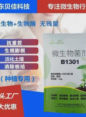 抗重茬冲施菌剂水溶肥叶面肥育苗移栽生根剂农用微生物滴灌b1301