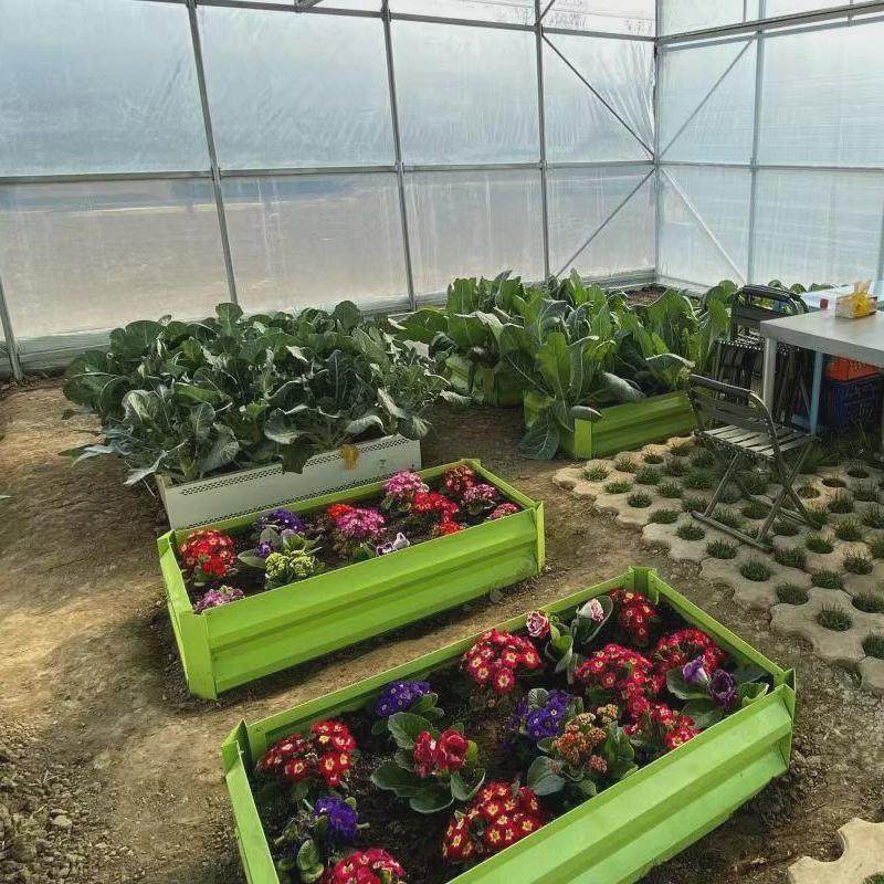 金属果蔬培育箱阳台菜园种菜养花家庭无底种植盆不生锈重复用种菜