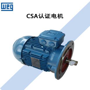 22铝壳 三相铸铁异步交流电动机 南通万高电机w20 巴西weg电机