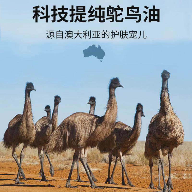 升级版鸵鸟肩关节油颈身体护理沙棘油按摩膏鸸鹋油护肤diy原料