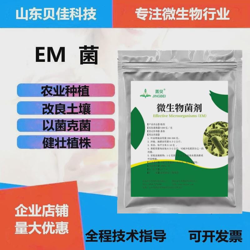 冲佳em种植专用菌番茄叶面肥贝施滴灌农用改良土壤微生物菌剂